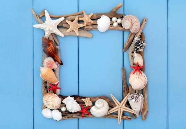 diy Κορνίζα με θαλασσόξυλα και διάφορα κοχύλια